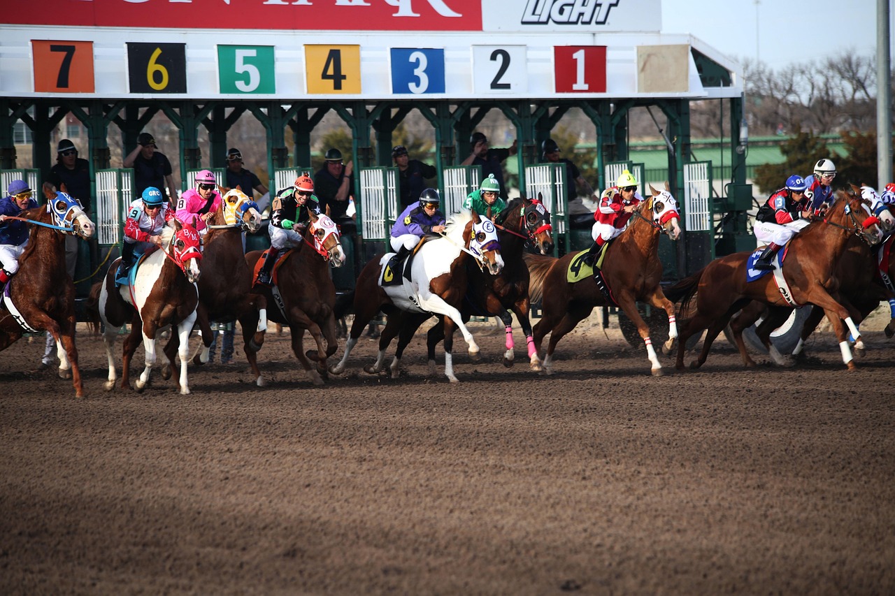 Carousel Image 2