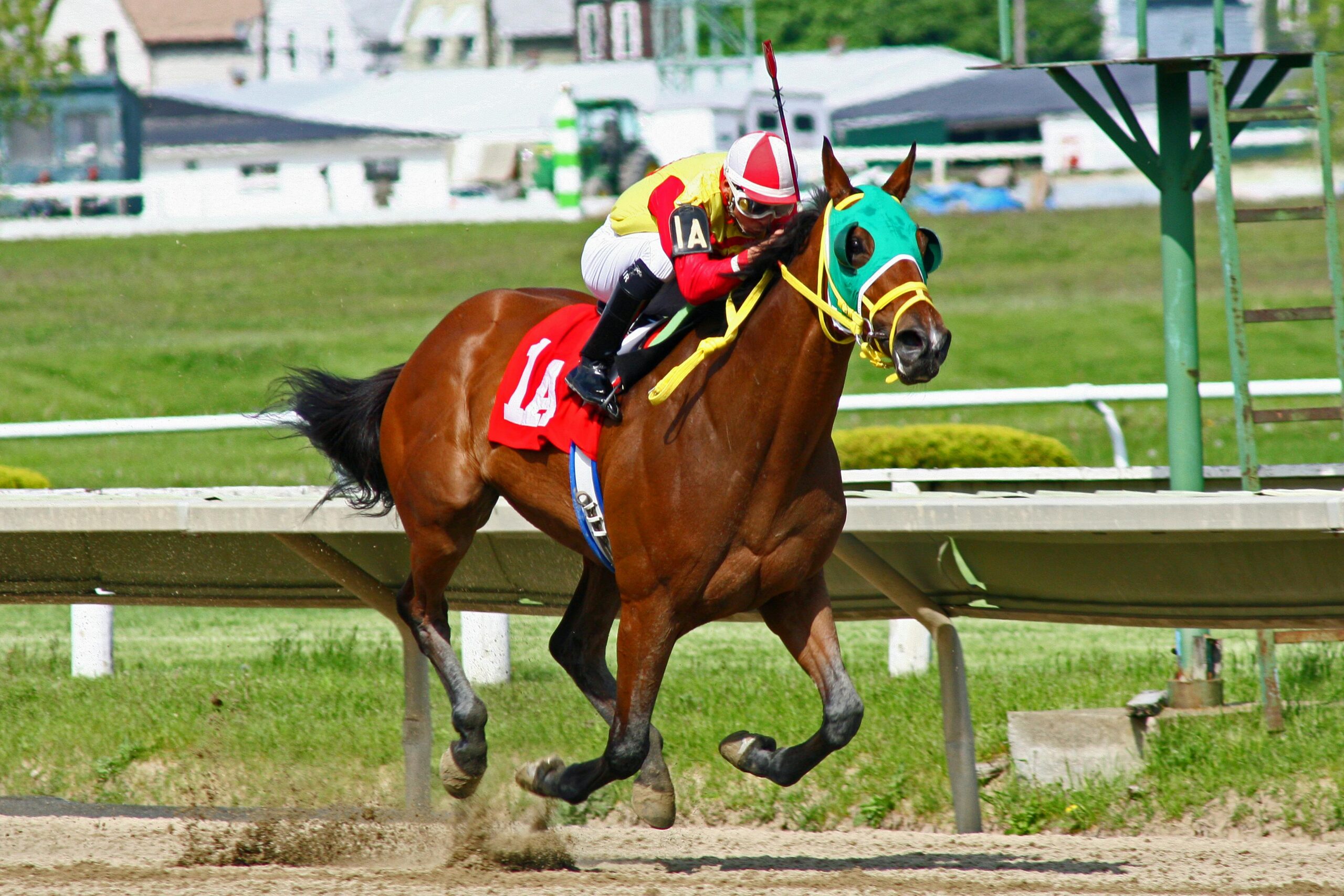 Carousel Image 1