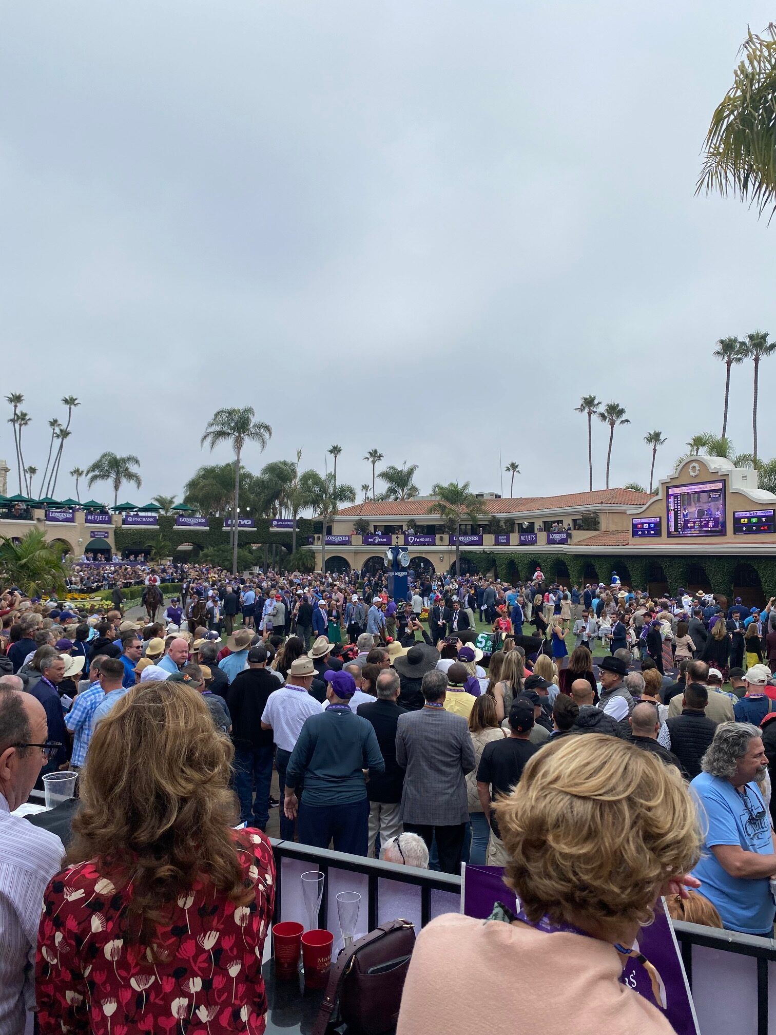 Breeders' Cup 2025 at Del Mar