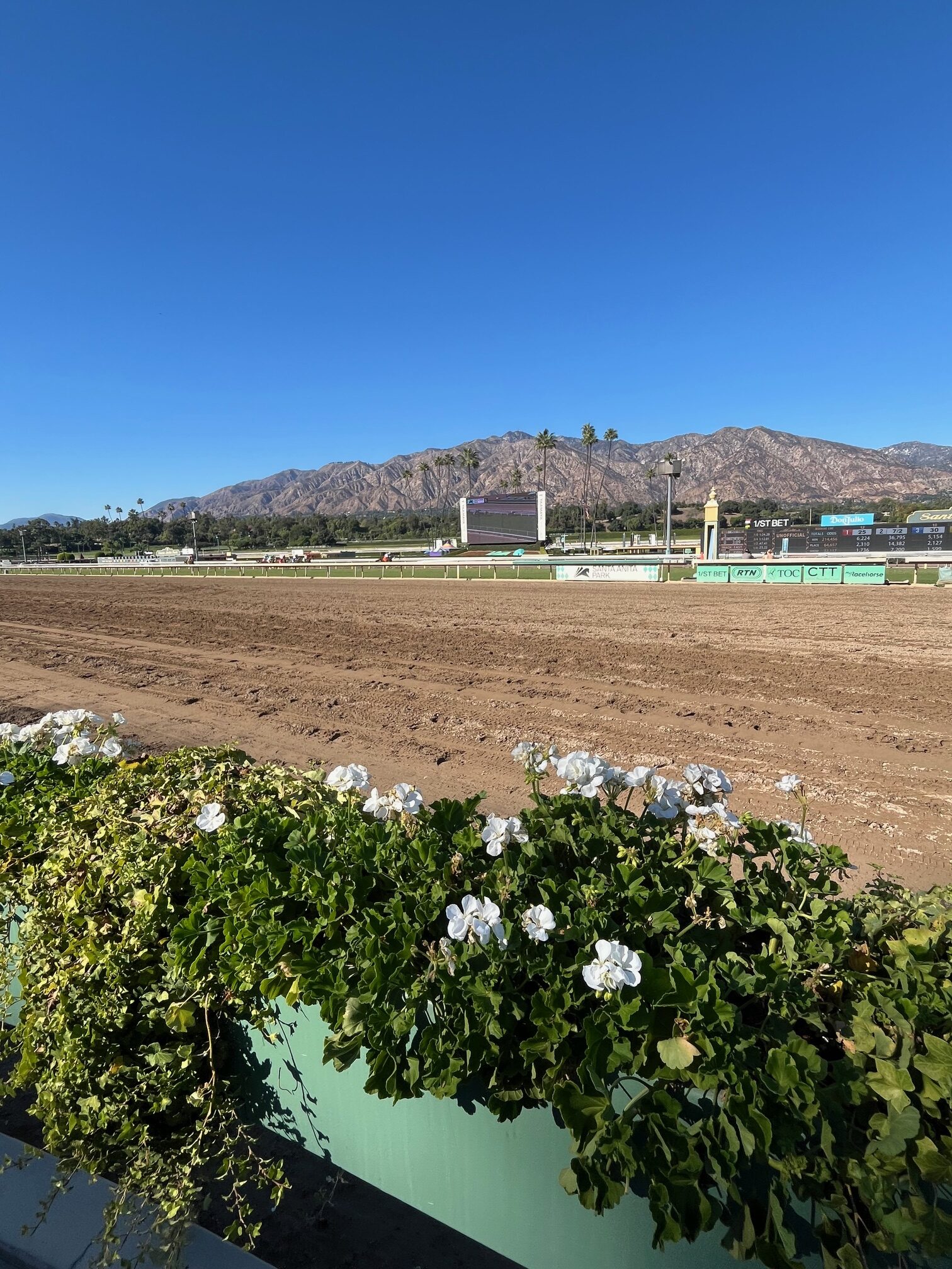 Santa Anita 2026 Season