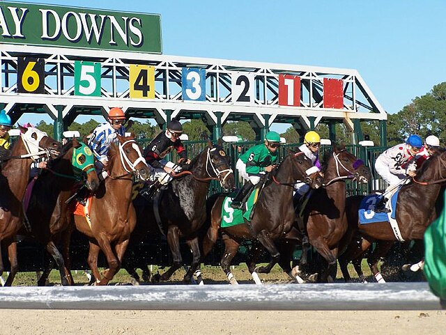The Puma wins Tampa Bay Derby