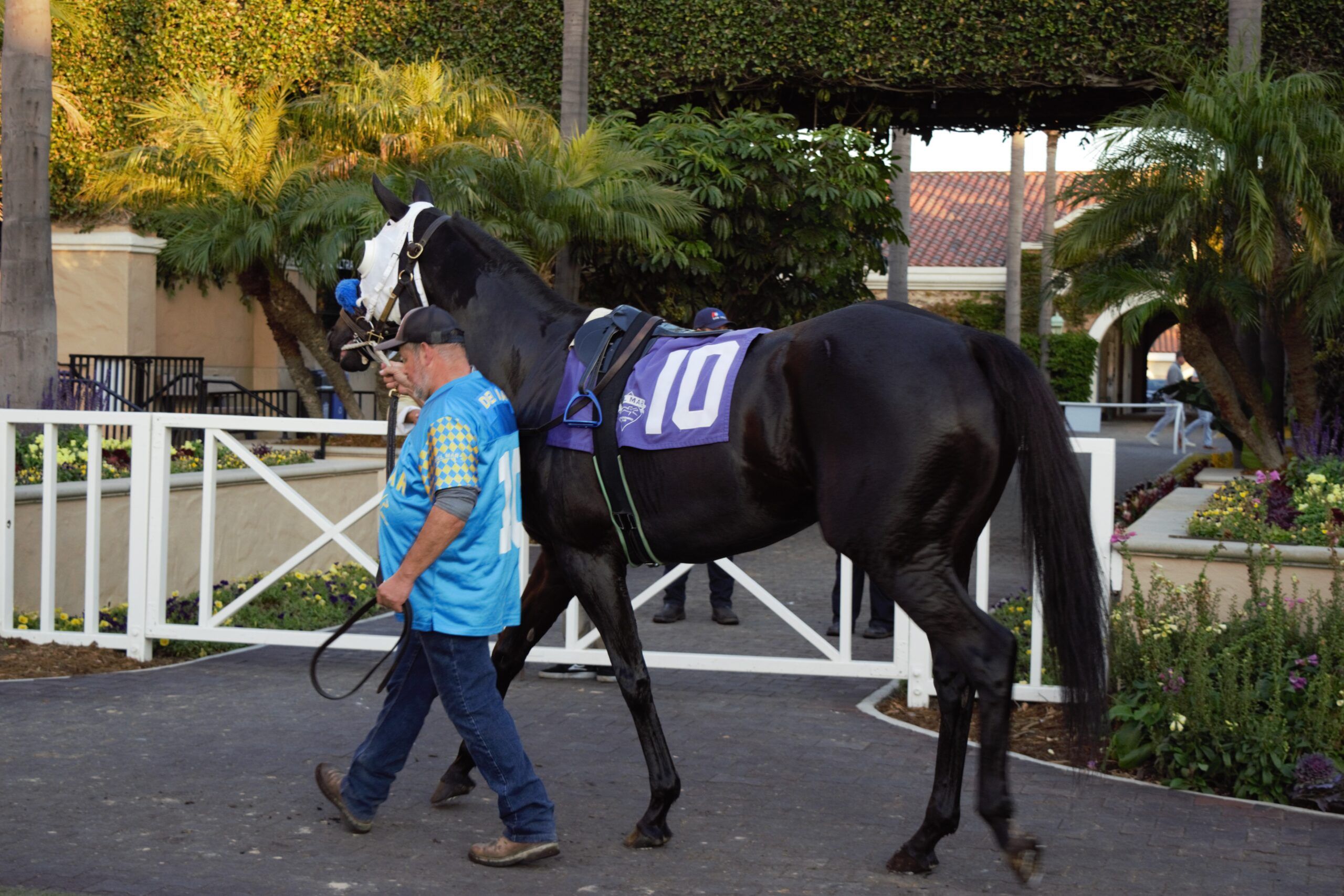 Louisiana Derby 2026 Preview